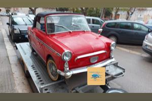 Carrello trasporto auto 