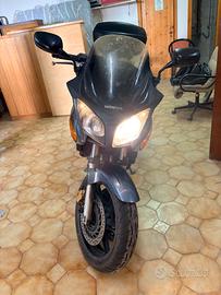 cbf 600 2004