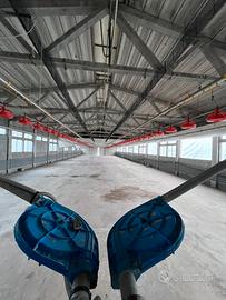 Attrezzatura completa per allevamento di avicoli