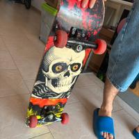 Powell Peralta Skateboards completo.