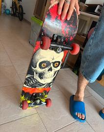 Powell Peralta Skateboards completo.