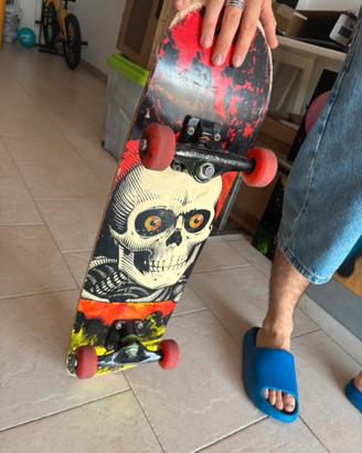 Powell Peralta Skateboards completo.
