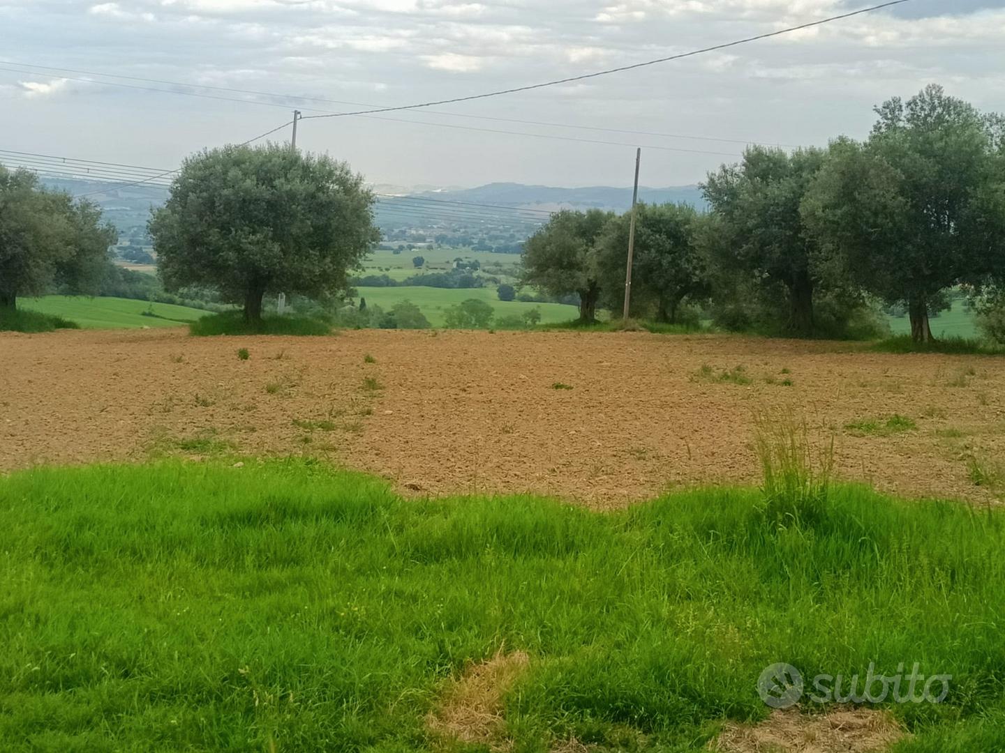 Terreno Agricolo a Treia - Vista 4