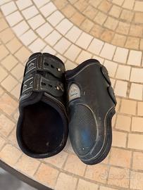 paranocche veredus Olympus