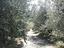 Immagine 12