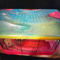 GABBIA CRICETI 2 PIANI