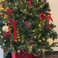 ALBERO DI NATALE 210