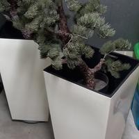 vaso completo con pino finto