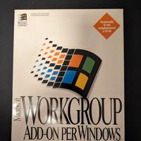 Microsoft Workgroup (Vintage e Retrocomputer)