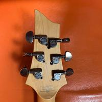 chitarra schecter-demon 6fr Diamond Serie