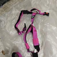 Pettorina e collare nuovi