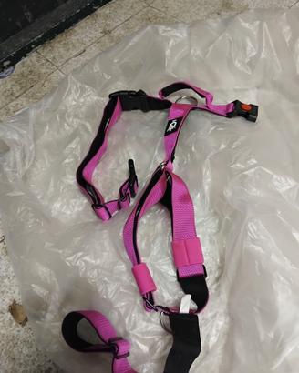 Pettorina e collare nuovi