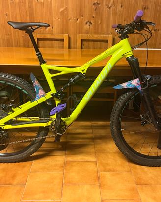 MTB Full Specialized Stumpjumper taglia L.