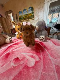 Barboncino (barbone) Toy Fulvo