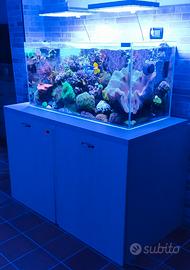 Acquario vasca più sump e supporto in alluminio