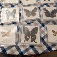 Collezione farfalle