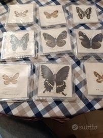 Collezione farfalle