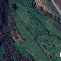 Terreno in collina con ulivi