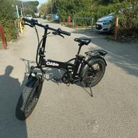 bicicletta elettrica 