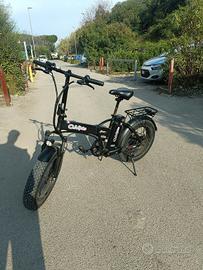 bicicletta elettrica 