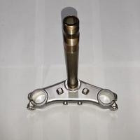 PIANTONE COMP. STERZO