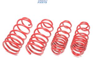 KIT MOLLE SPORTIVE PER NISSAN