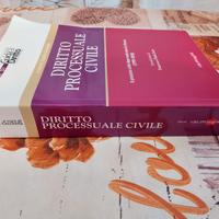 Diritto Processuale Civile