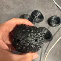 Tartufi da addestramento