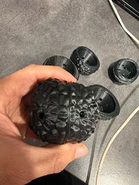 Tartufi da addestramento