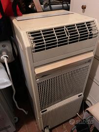 Climatizzatore mobile