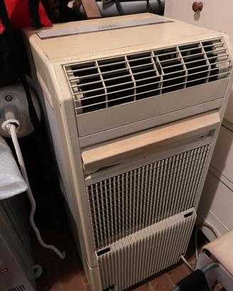 Climatizzatore mobile