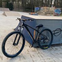 wheellie bike professionale 