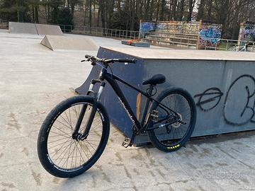 wheellie bike professionale 