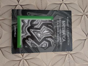 Matematica Calcolo Infinitesimale Algebra Lineare