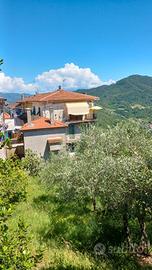 Bilocale di casa semindipendente