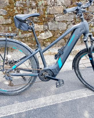 ebike  Conway 29 L. Caryon 