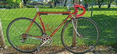 Willer Triestina ramata 