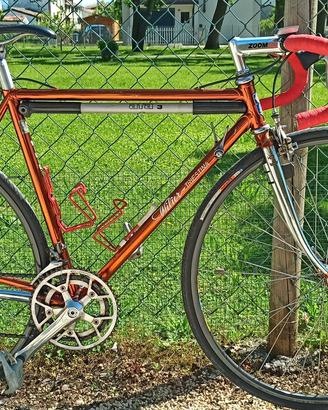 Willer Triestina ramata 