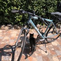 Bicicletta vintage