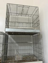 Gabbia pappagalliera canarini zincate