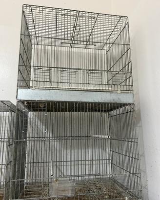 Gabbia pappagalliera canarini zincate