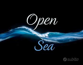 Open Sea