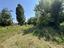 Immagine 11