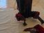 Immagine 2
