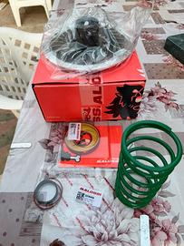 Variatore malossi tmax   più correttore di coppia