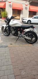 Hornet 600 cafè race 