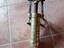 Immagine 3