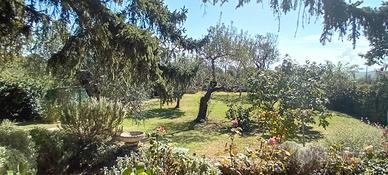 Villa ristrutturata classe A4 con ampio giardino