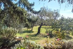 Villa ristrutturata classe A4 con ampio giardino