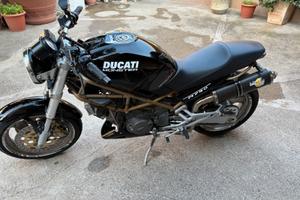 Ducati monster
